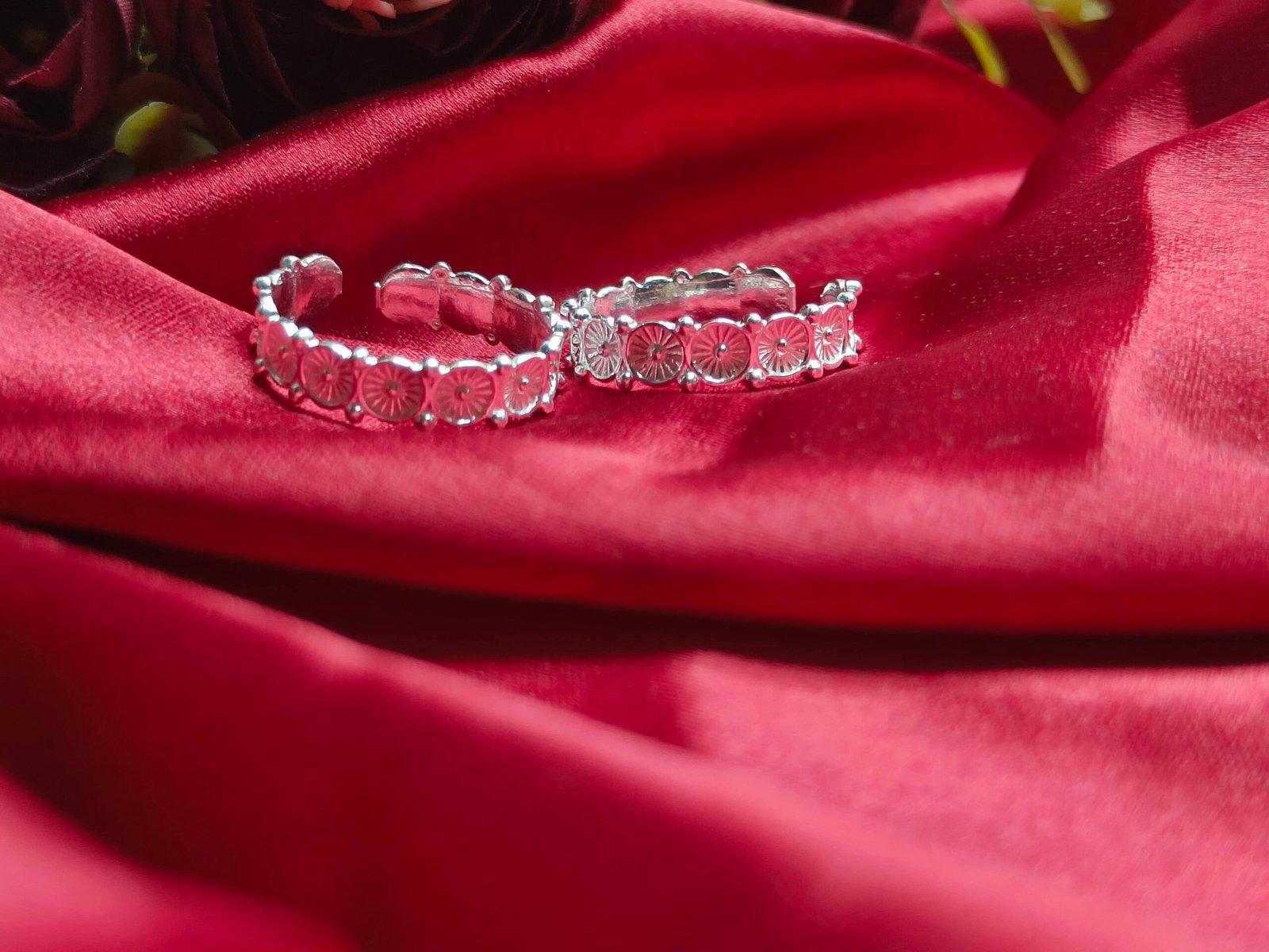 Amazonica Toering/Bichiya view 2