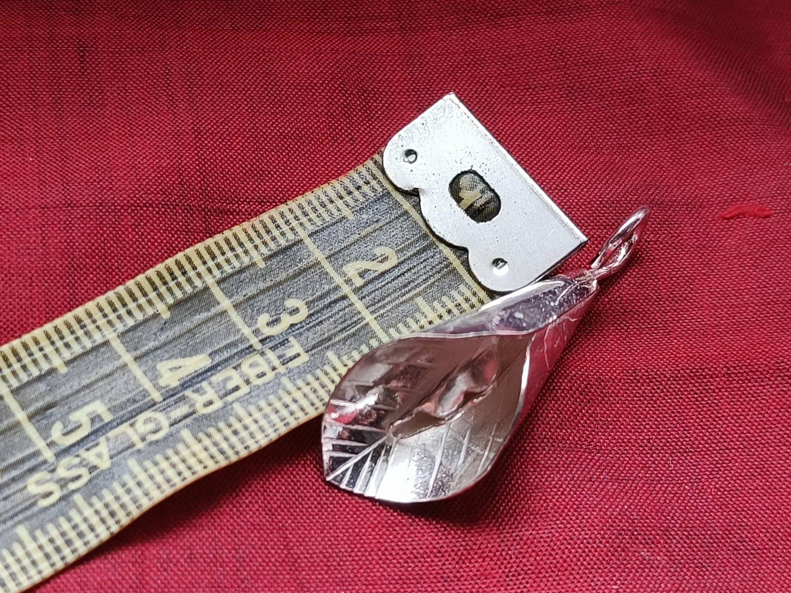 Aparajita Flower / Neelkanth view 4