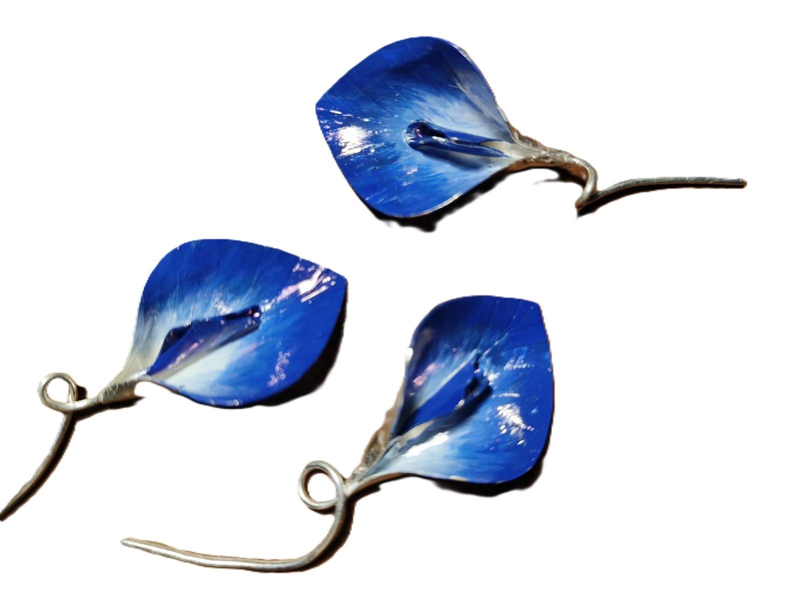 Aparajita / Neelkanth / Gokarna Flower Meena