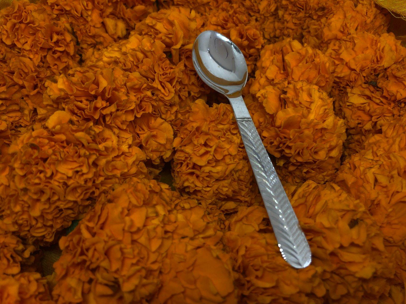 Gahenaz 925 Silver Spoon