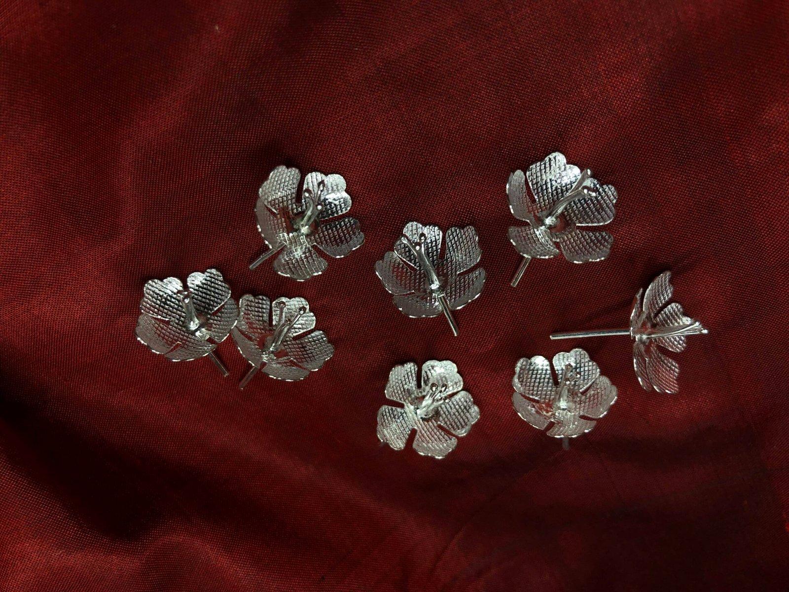 Hibiscus / Joba Flower / Jaswandi view 4