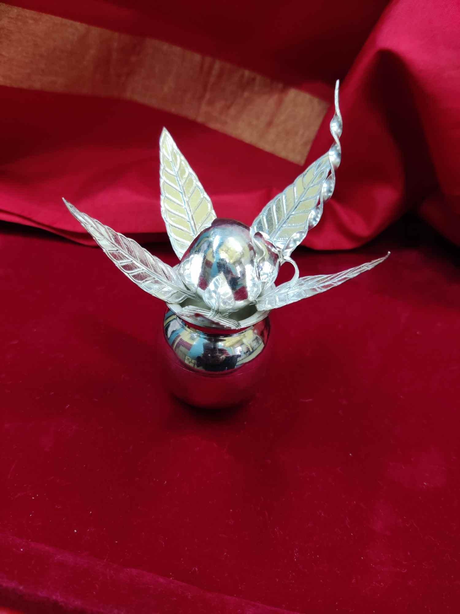 Mango Leaf + Greeen Coconut with Steam Combo Offer