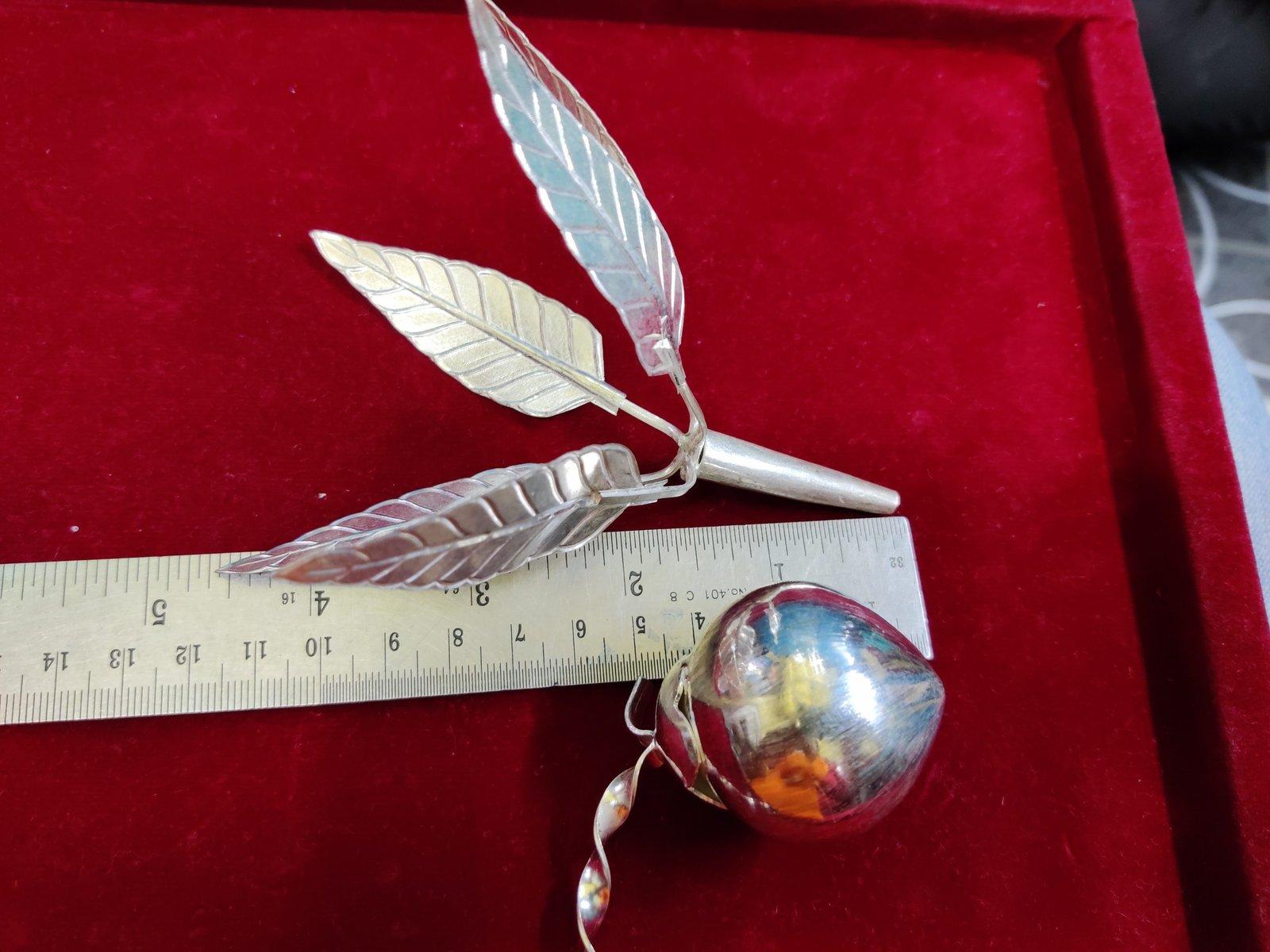 Mango Leaf + Greeen Coconut with Steam Combo Offer view 7