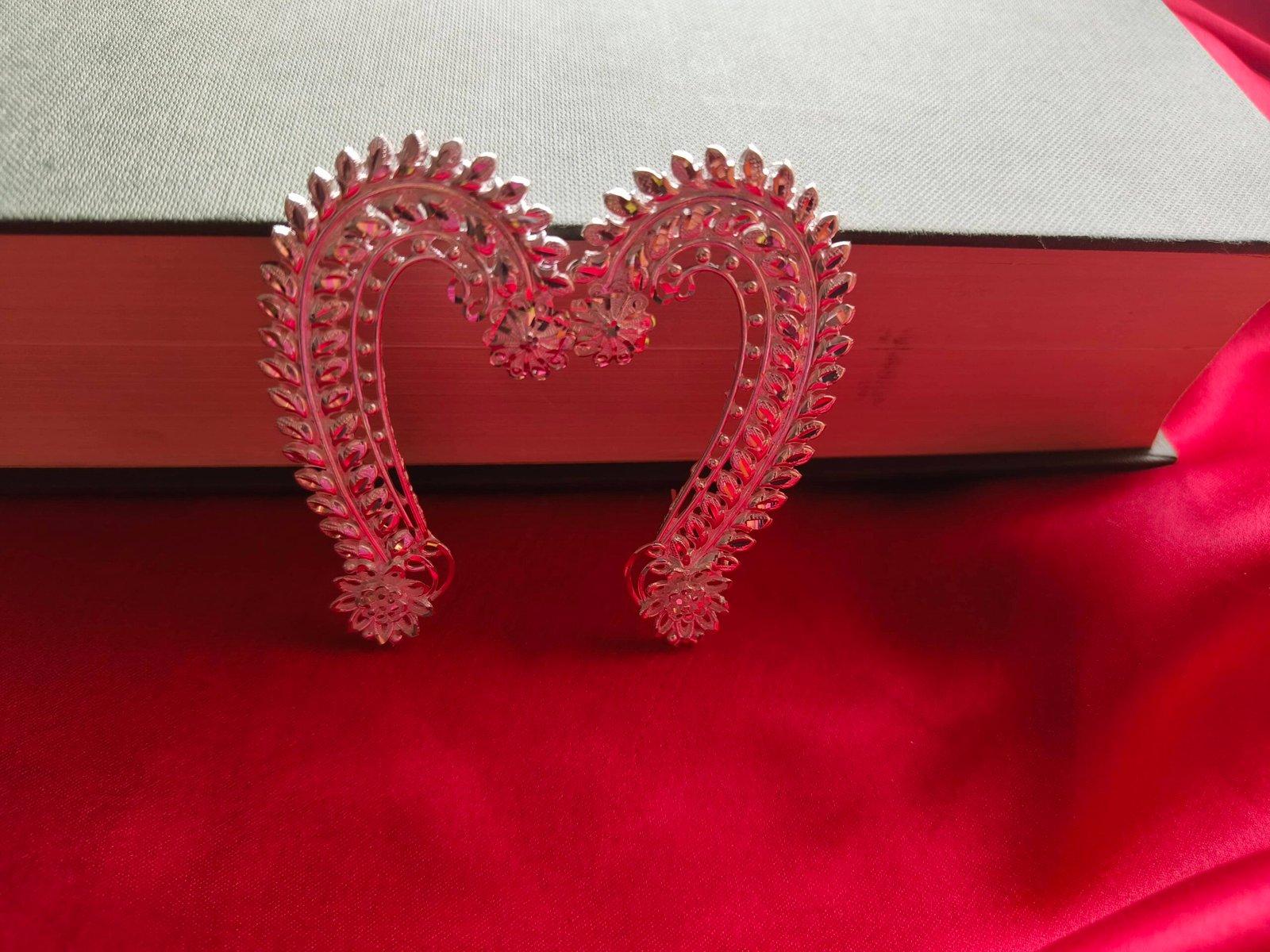 Parampara Kaan Earrings view 4