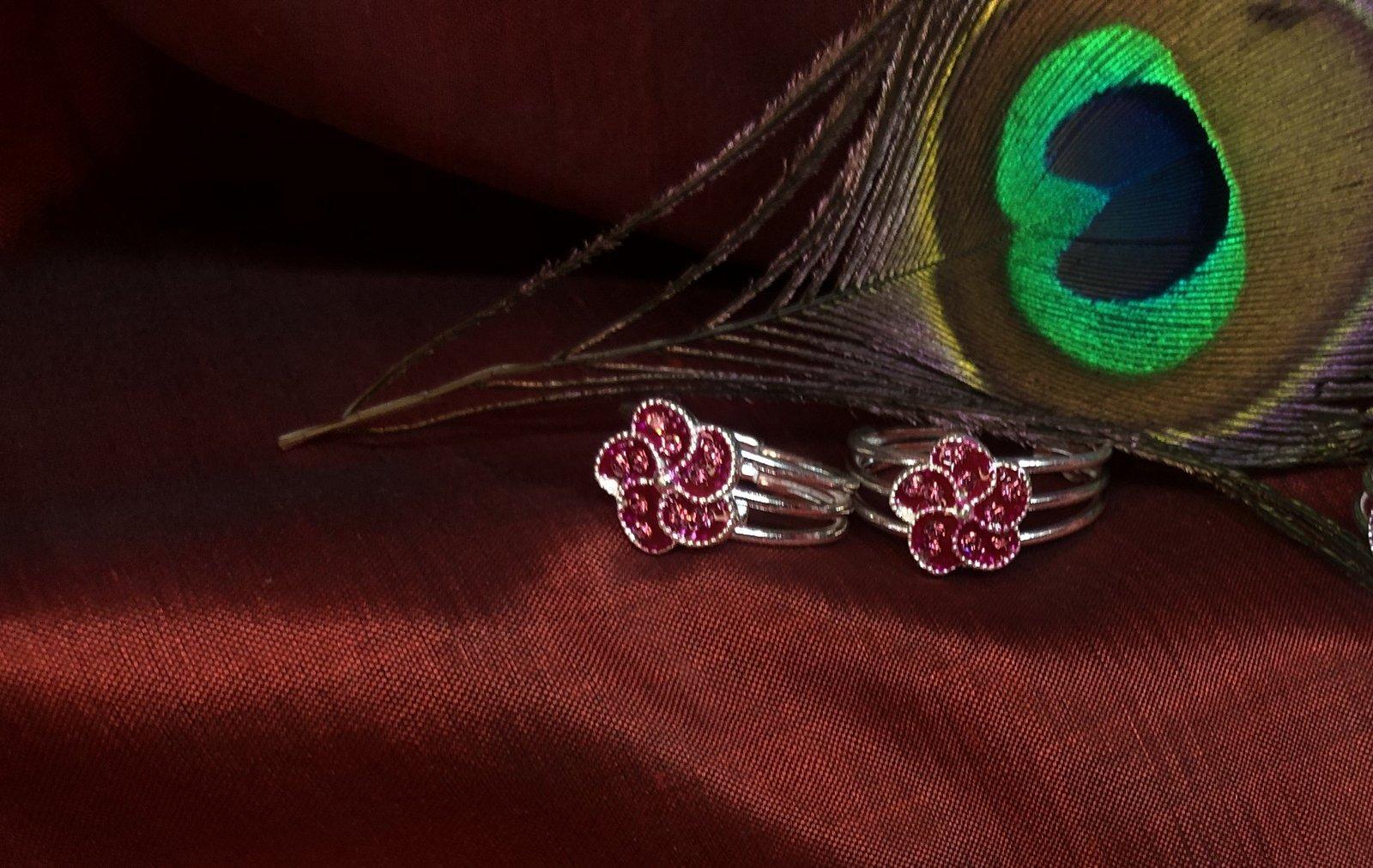 Parijat Bichiya/ Toering view 3