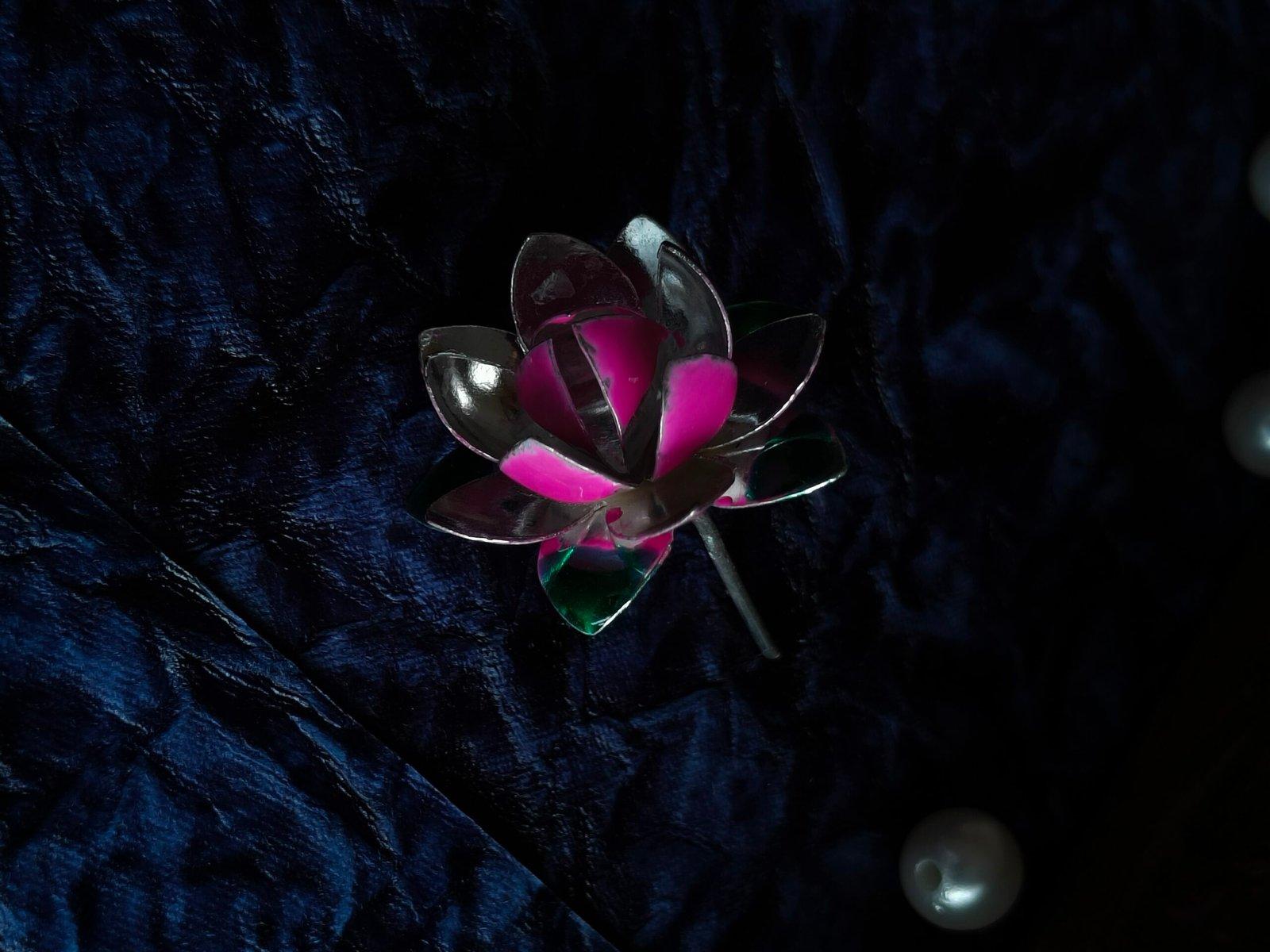 Pink Lotus Flower view 3