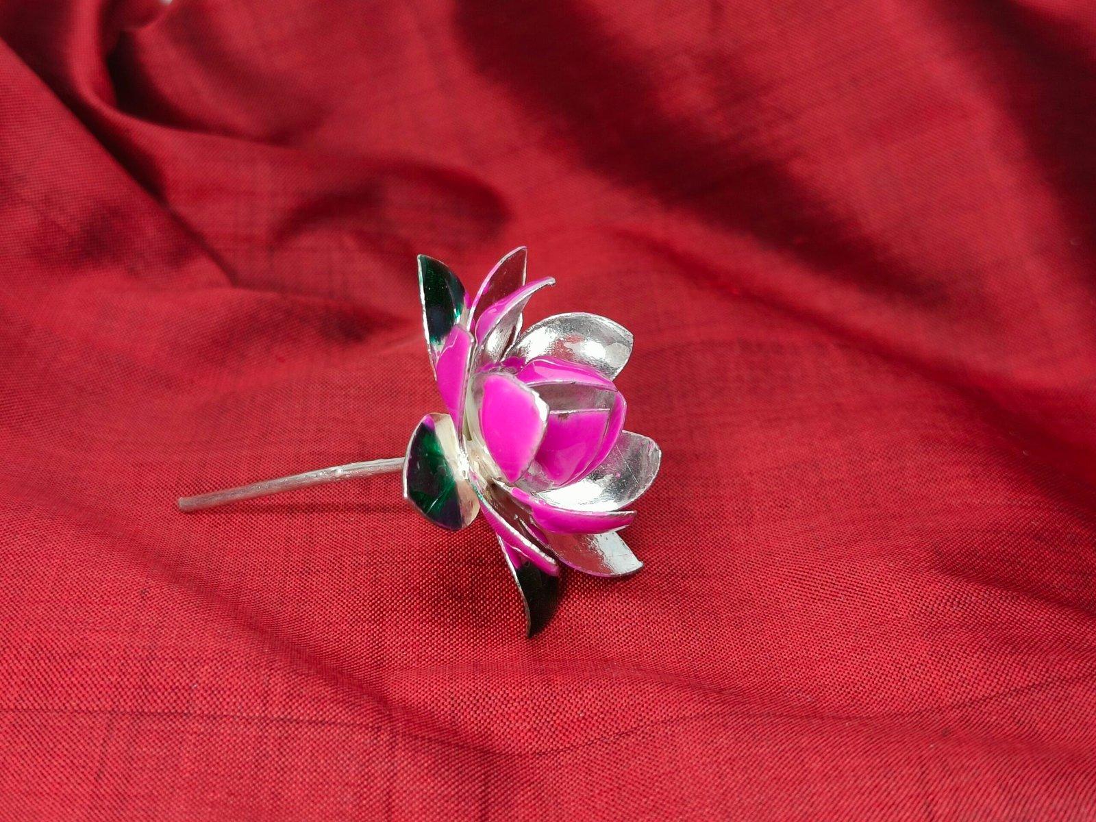 Pink Lotus Flower view 4