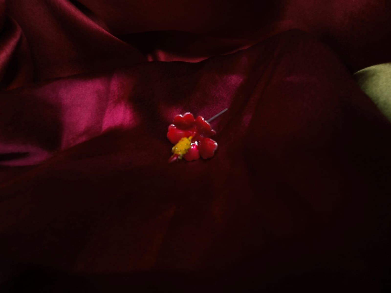 Red Hibiscus/Jaswandi/Meena Joba/ Joba/ Lal Joba