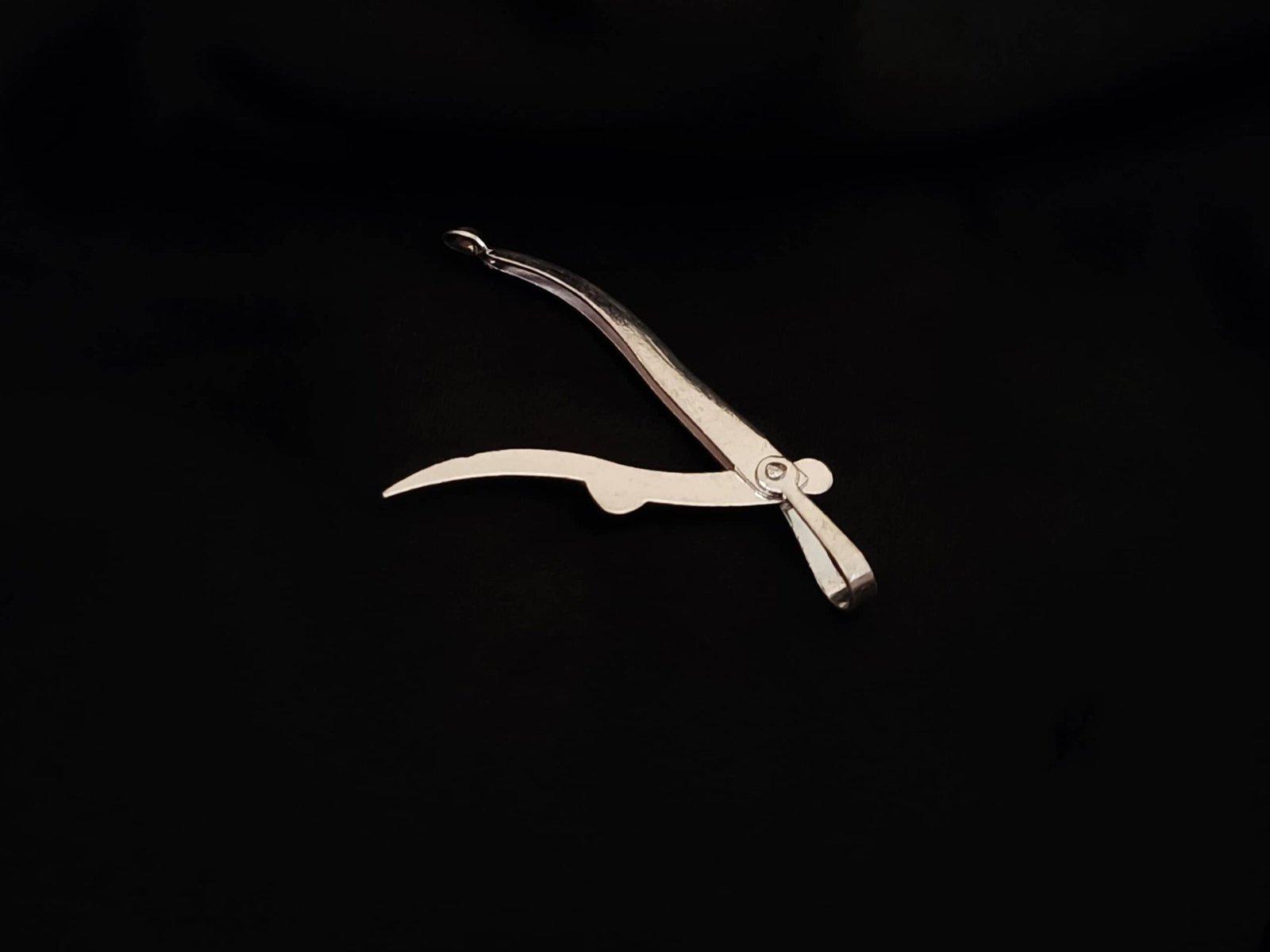 Silver Folding Toothpick and Ear Cleaner Set