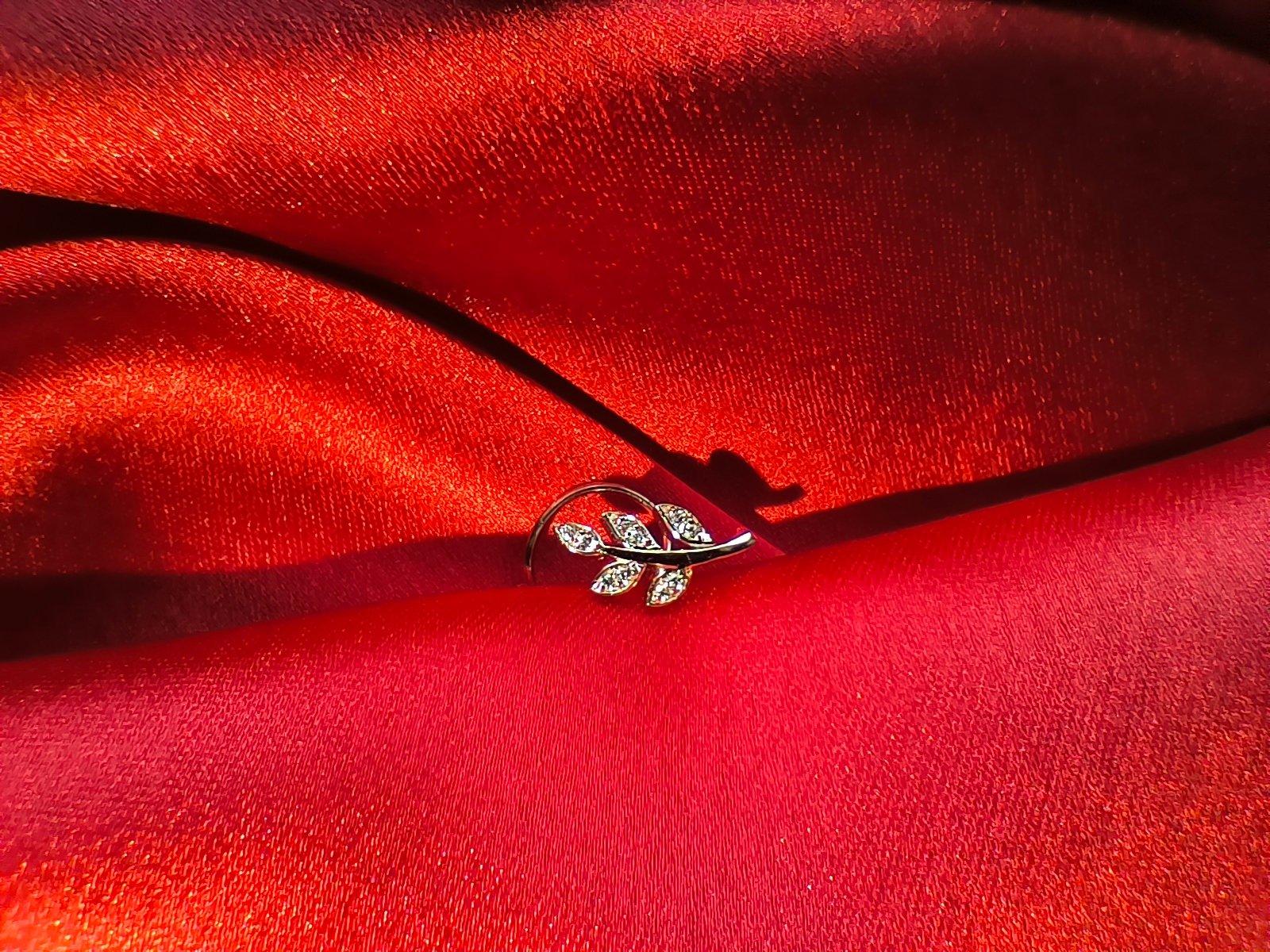 Stone Leaf Nose Pin view 3