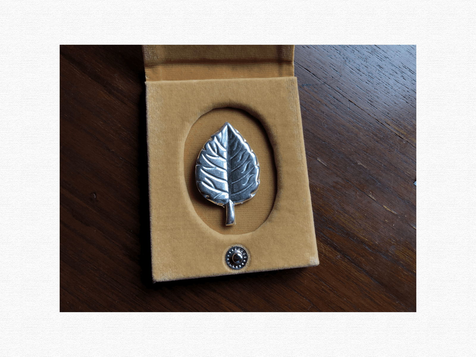 Tulshi/Basil/Tulasi/Tulsi Leaf view 2