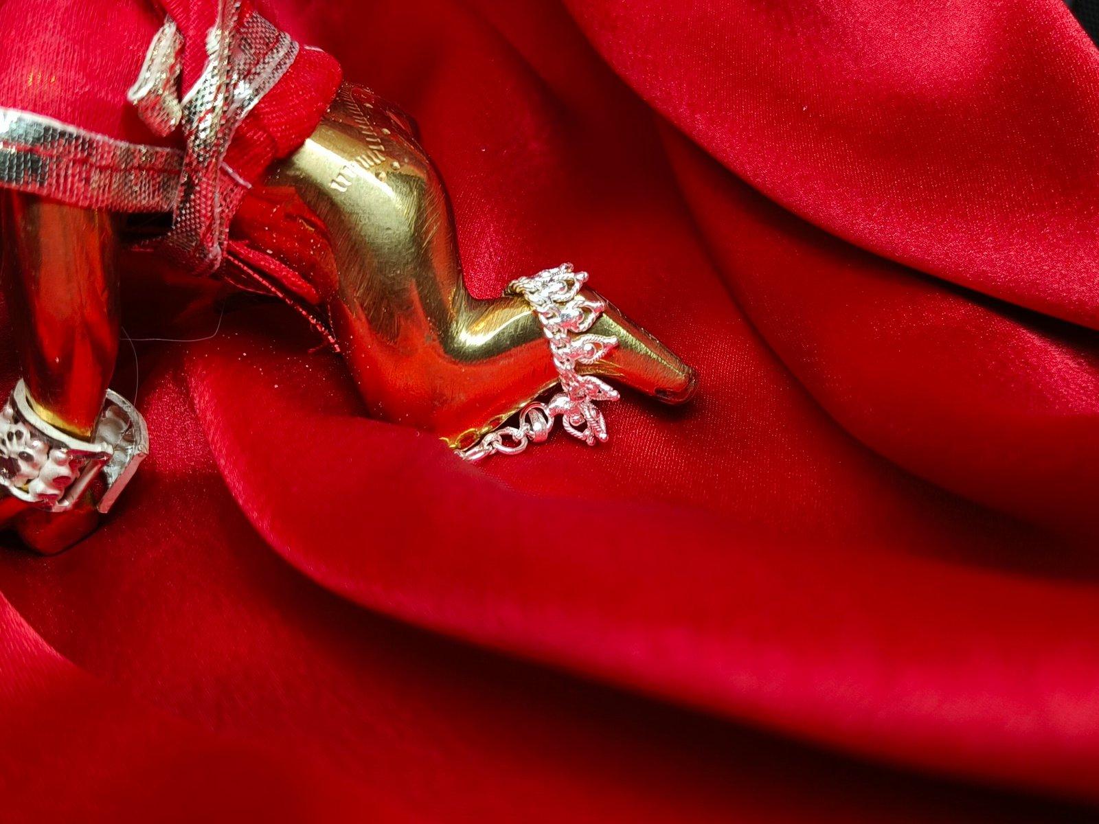 Priyadarshini Payel/ Anklet for Idol view 3